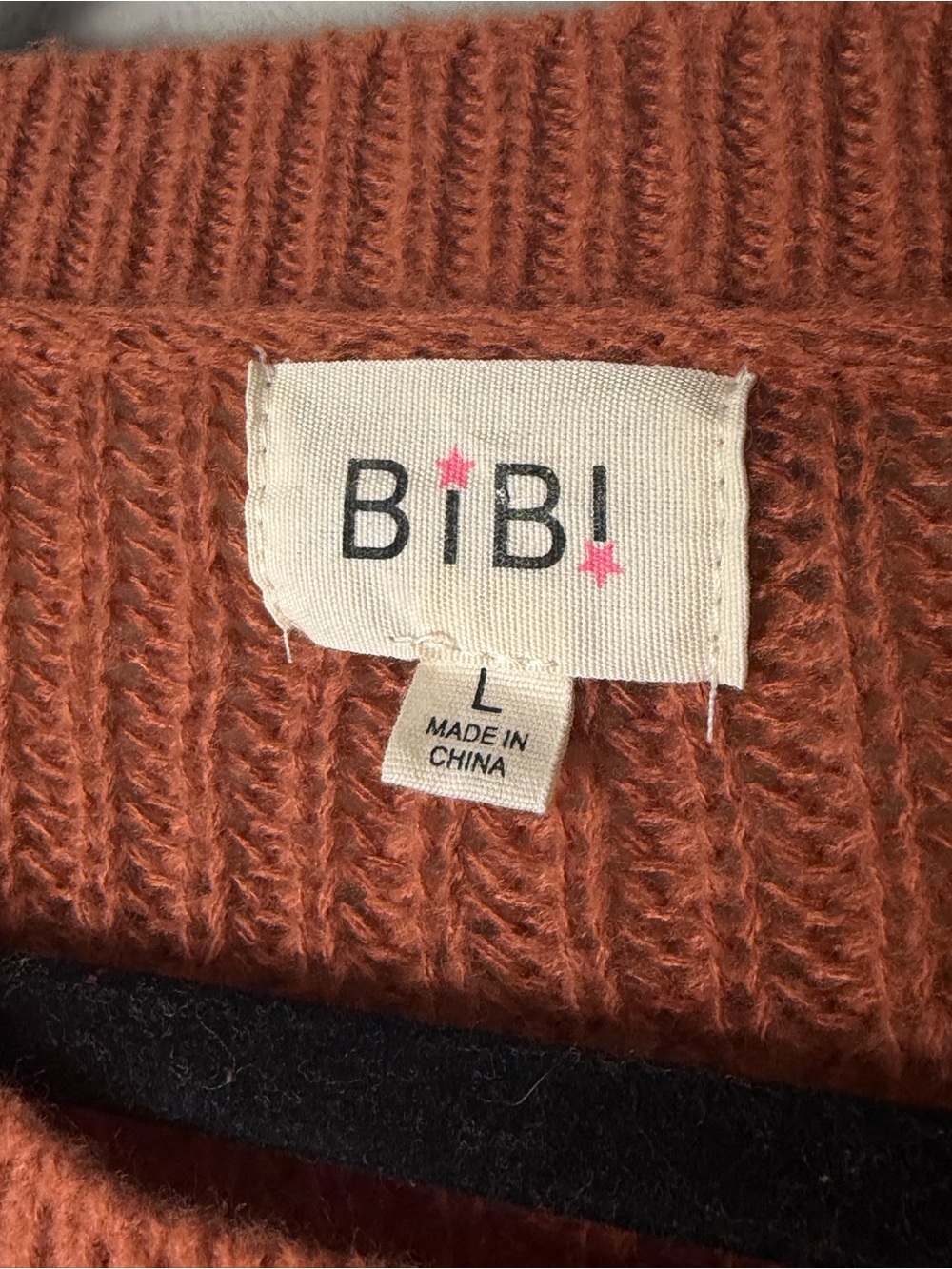 BiBi Rust Fall Crew Neck Sweater Size L - Picture 3 of 6